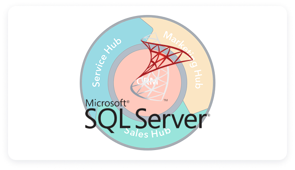 Microsoft SQL Server-1